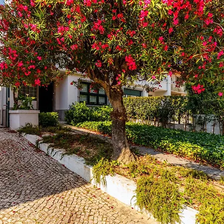 別荘 Casa Da Laurentina - Charm With Pool & Garden リスボン