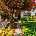Casa Da Laurentina - Charm With Pool & Garden Holiday home *